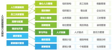 手把手带你从零搭建人力资源系统 1